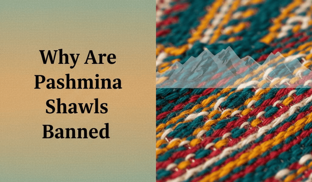 Why Are Pashmina Shawls Banned
