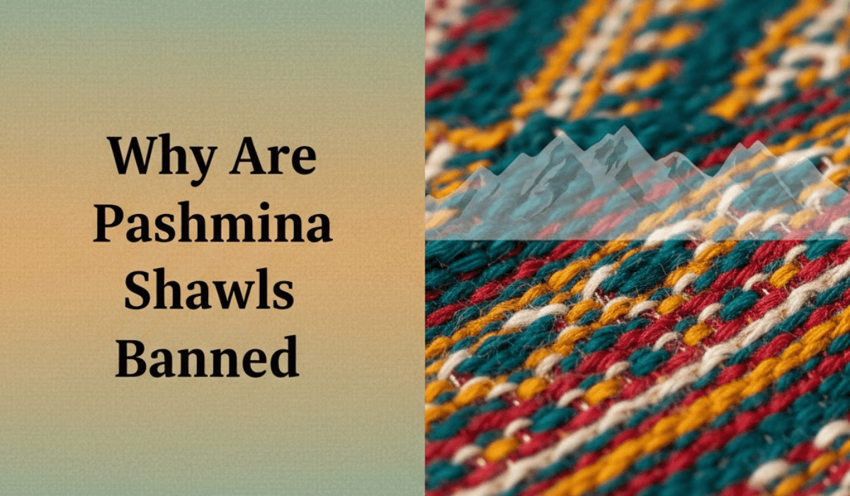 Why Are Pashmina Shawls Banned - Absanoh Pakistan